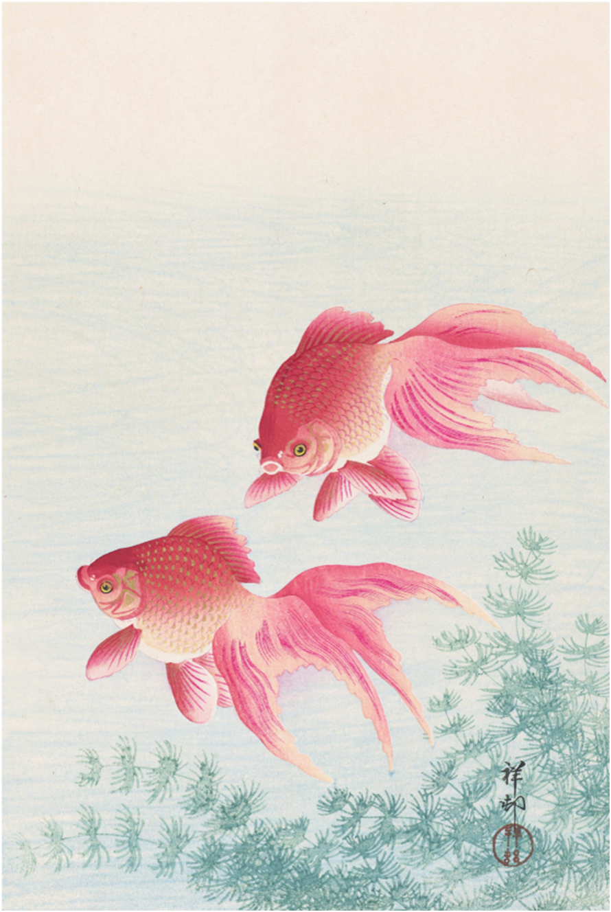 岡本かの子「金魚繚乱」は、実に緻密に構築された作品です。