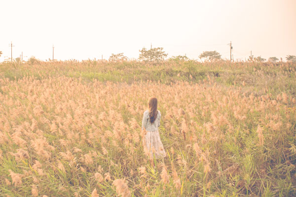 宮沢賢治「マリヴロンと少女」を読むと、芸術についての賢治の想いが垣間見えます。