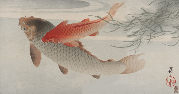 上田秋成「雨月物語-夢応の鯉魚」は、自由を謳歌できる生き方を描いた物語、だと思う。