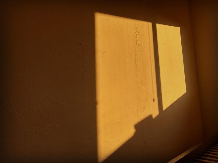 「親の心、子は知ってるかもしれない」とボクは思う。